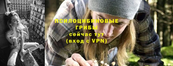 прущие грибы Алексин